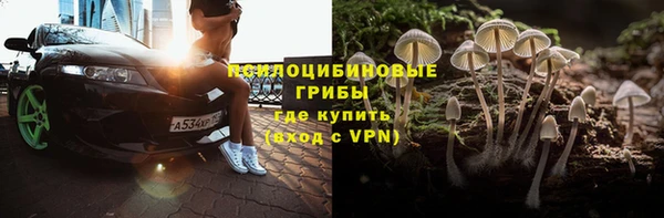 мдпв Майский