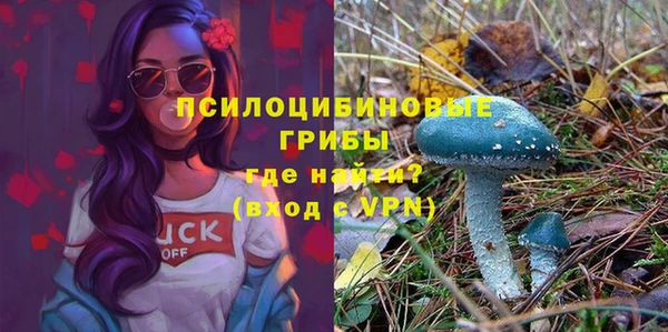 альфа пвп Ладушкин