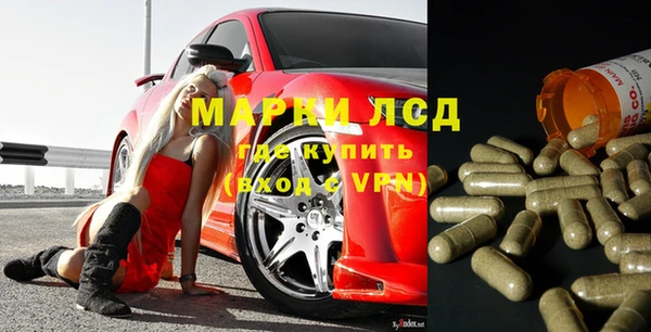 гашик Липки